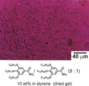 Figure 1.1: Optical micrograph of a dried organogel revealing the network of self-organised supramolecular fibre structures. Figure 1.1: Optical micrograph of a dried organogel revealing the network of self-organised supramolecular fibre structures.