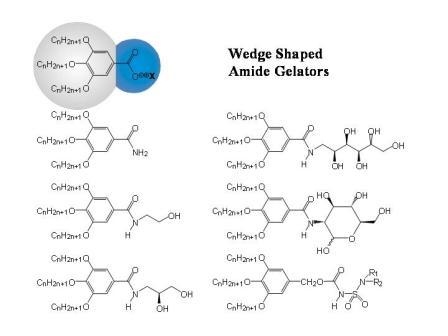 Figure 1.2b: Schematic sketch of the supramolecular fibre formation by wedge-shaped amphiphiles and some examples for this class of compounds. Figure 1.2b: Schematic sketch of the supramolecular fibre formation by wedge-shaped amphiphiles and some examples for this class of compounds.