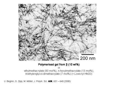 Figure 2.3: TEM micrographs of polymerised supramolecular fibres of methacrylate functionalised DOBOB-CE in a crosslinked methacrylate matrix.