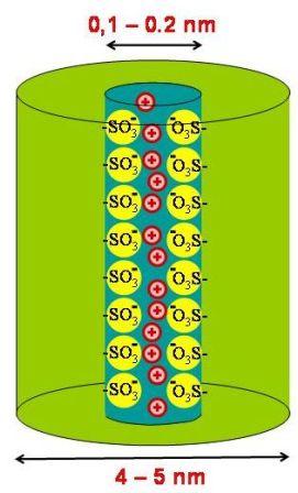 Figure 3.2: Schematic drawing of the aimed structure of a sulfonate transport channel Figure 3.2: Schematic drawing of the aimed structure of a sulfonate transport channel