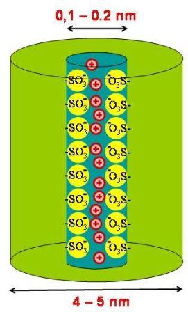 Figure 3.2: Schematic drawing of the aimed structure of a sulfonate transport channel