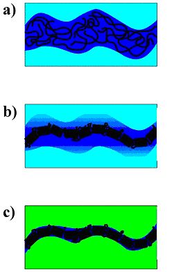 Figure 1.1b: Proposed mechanism for the formation of ‘thin’ PEO-tubes in crosslinked poly(methacrylate) matrices. a) Threat-like string of the PEO-rich phase at the begin of the spinodal demixing, b) crystallisation of the PEO in the threat, completely expelling the solvent, c) after polymerization of the solvent: thin embedded PEO tube.