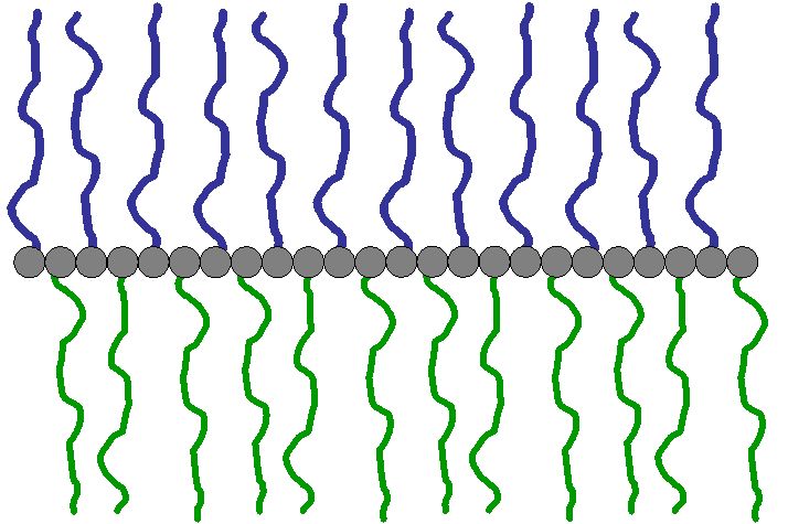 Scheme 2.1: Schematic depiction of a “Double Comb” polymer architecture and a possible arrangement of a Double Comb Polymer at a liquid interface
Scheme 2.1: Schematic depiction of a “Double Comb” polymer architecture and a possible arrangement of a Double Comb Polymer at a liquid interface
