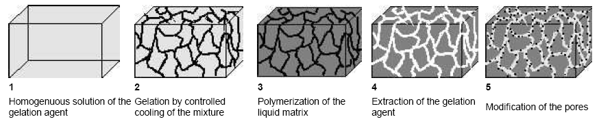 Figure 1.1: Schematic drawing of the "Gel-Template-Leaching" process Figure 1.1: Schematic drawing of the "Gel-Template-Leaching" process