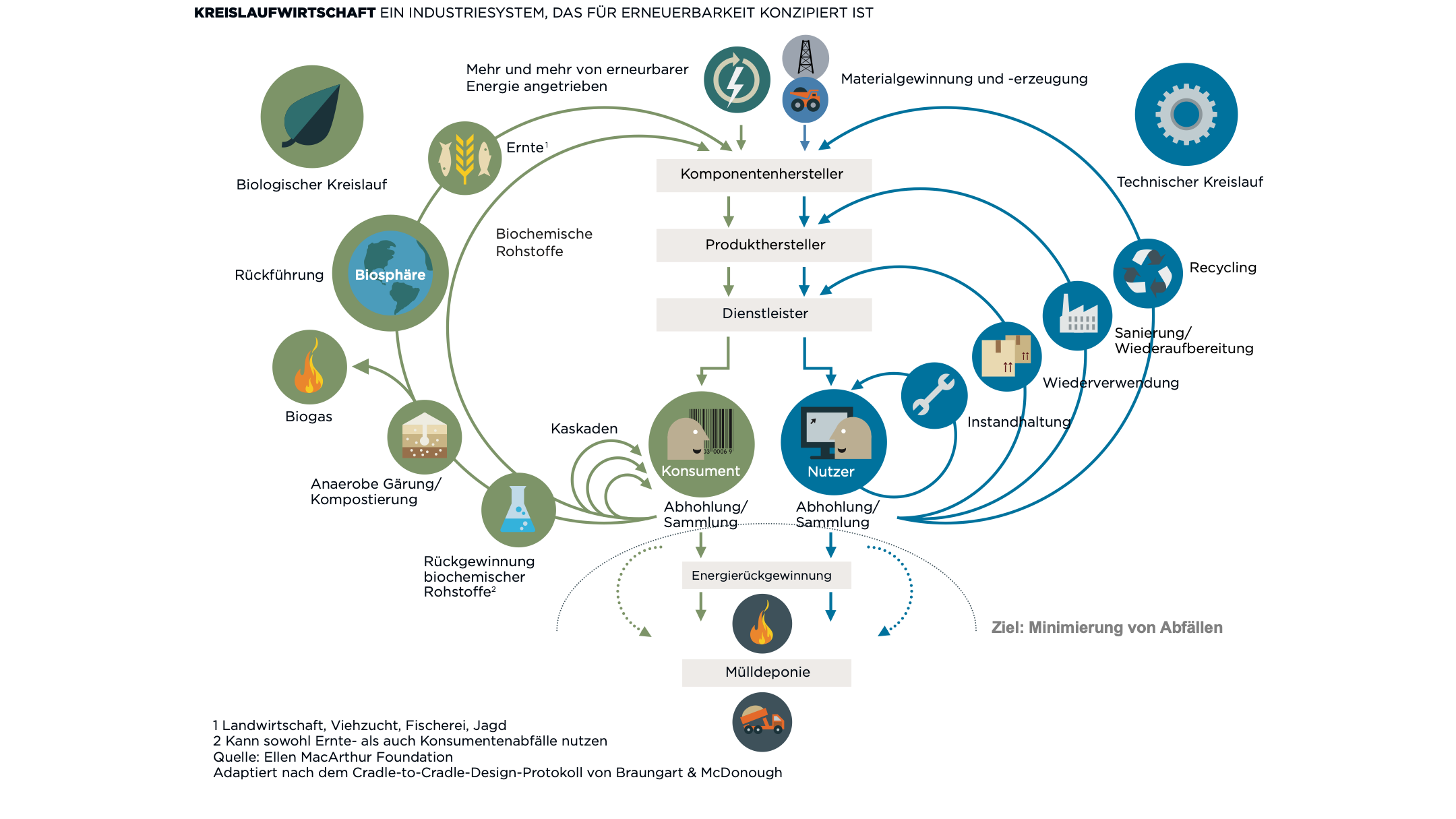 Abb. 2: Schmetterlingsmodell der Kreislaufwirtschaft. Verändert nach Ellen MacArthur Foundation (2015) Abb. 2: Schmetterlingsmodell der Kreislaufwirtschaft. Verändert nach Ellen MacArthur Foundation (2015)